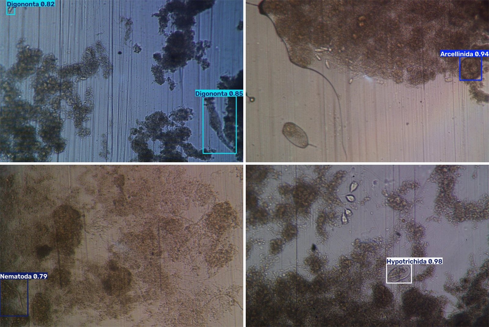 ResIOT FluidAI - automatic detection of microorganisms in microscope images